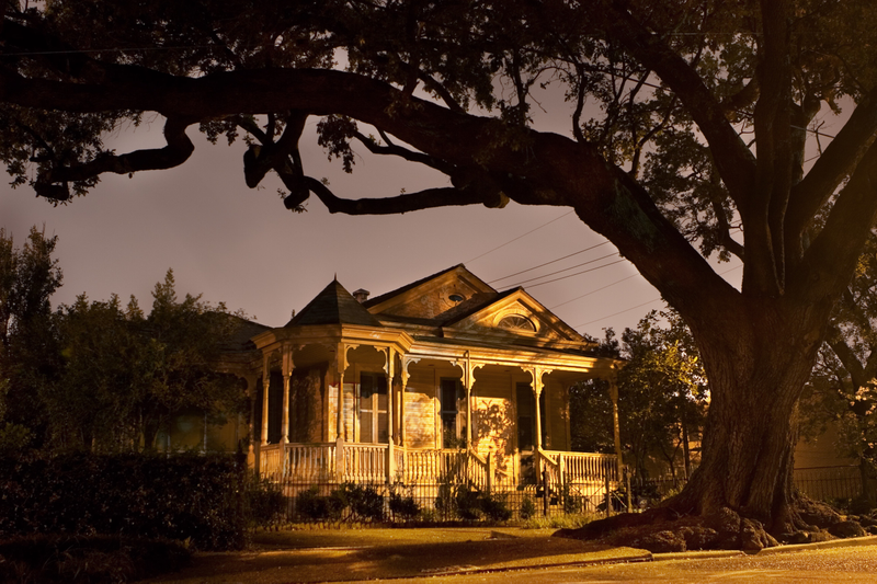 Illustration for article titled Beautiful photos of haunted New Orleans